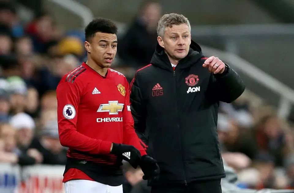 效力的种子 效力的种子